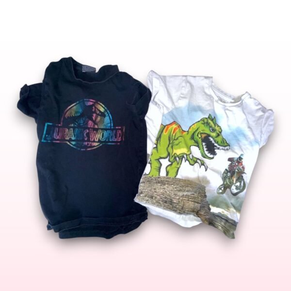 Set of 2 Dinosaur Boys T-Shirts – Age 7